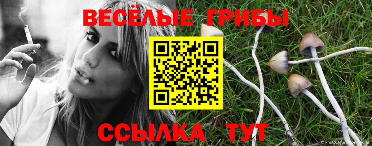 Галлюциногенные грибы MAGIC MUSHROOMS  Вход с VPN  Камышлов  Псилоцибиновые грибы ЛСД 