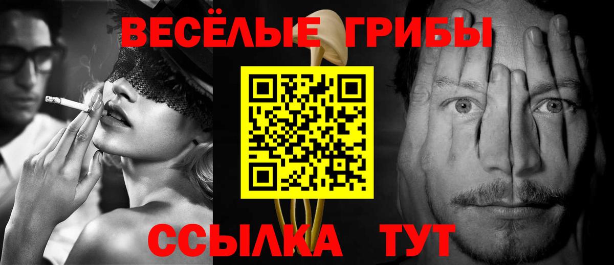 Галлюциногенные грибы GOLDEN TEACHER Камышлов